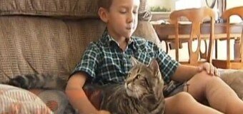 Маленького мальчика в США его кошка спасла от погрызания собакой