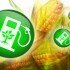 Ученые: переход на биотопливо грозит нехваткой еды