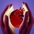 Британские врачи впервые в истории пересадили мертвое сердце