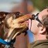 Ученые: поцелуи с собаками укрепляют иммунитет и здоровье человека