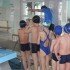 В Вологде 10-летний школьник утонул на уроке физкультуры