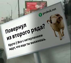 14 городов России приняли участие в акции против дорожного хамства