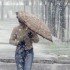 В Новосибирской области объявлено штормовое предупреждение на два дня