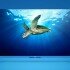 Xiaomi представила бюджетный 40-дюймовый телевизор Mi 2 TV за $320