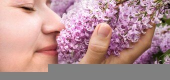Радостное настроение весной связано с запахами — ученые